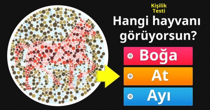 Hangisini görüyorsunuz?