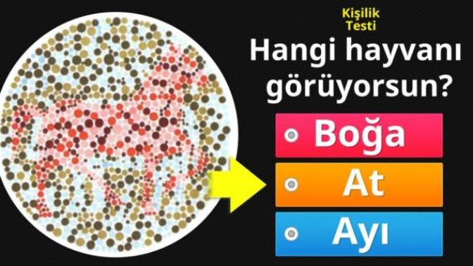Hangisini görüyorsunuz?
