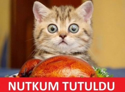 İlk buluşmada 3 kişilik yemek yiyen flörtünüze tepkiniz ne olur?