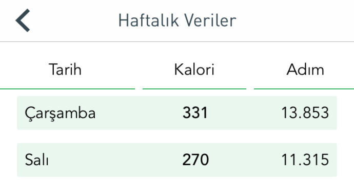 Adımsayar uygulamasının verisi.