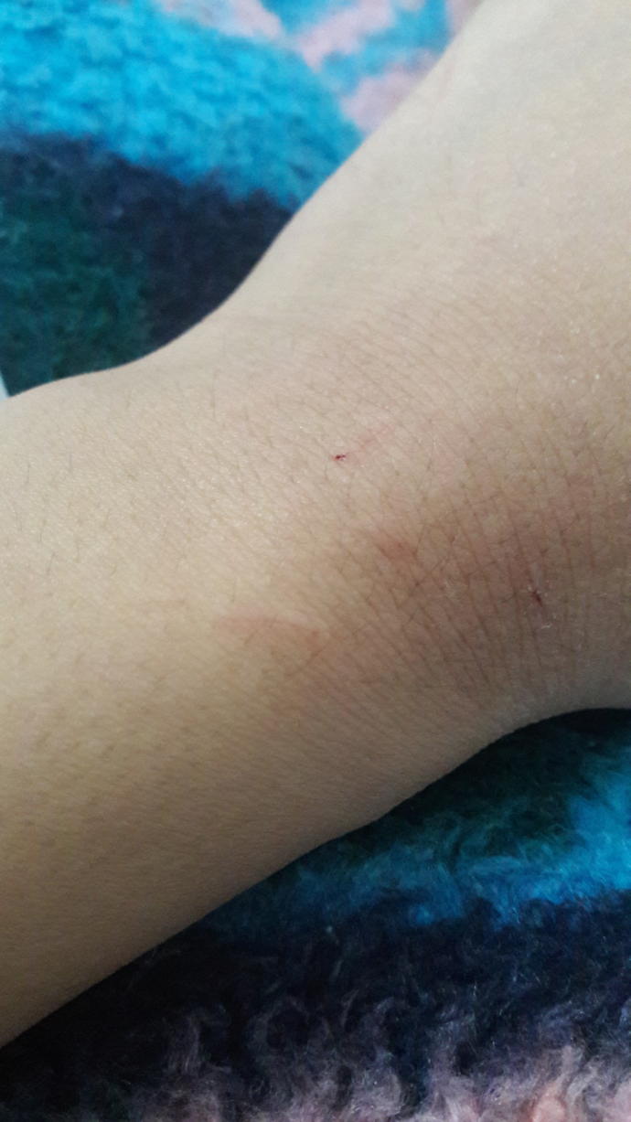 Kedi sevdim kuduz olur muyum?