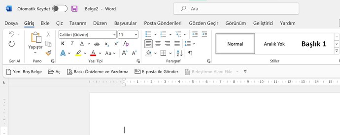 Microsoft Word Aa tuşu ne işe yarıyor?