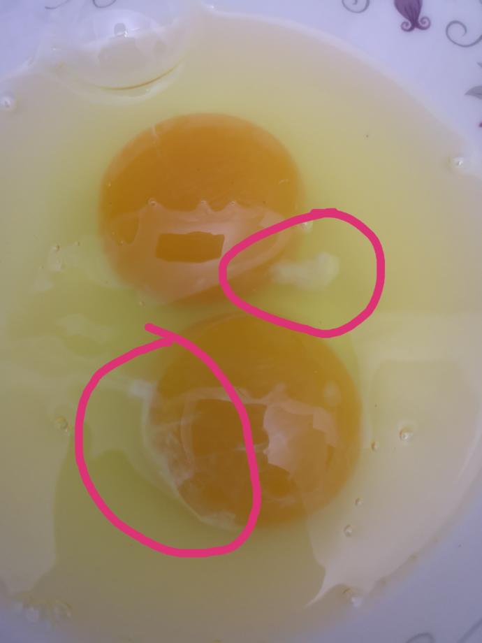 Günaydın herkese. Her yumurtanın içinde detaydaki gibi horoz spermi olduğunu ve bunu afiyetle yediğinizi biliyor muydunuz?