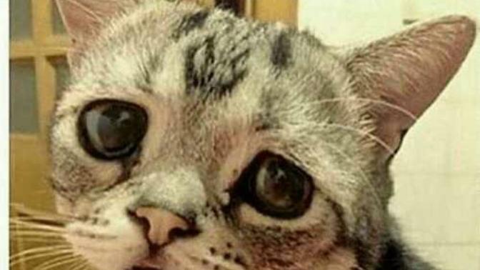 Çevrimiçi oluşunu izlemekte sevdaya dahil mi 😩?