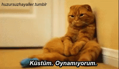 En son kime, neden küstünüz 🙈?