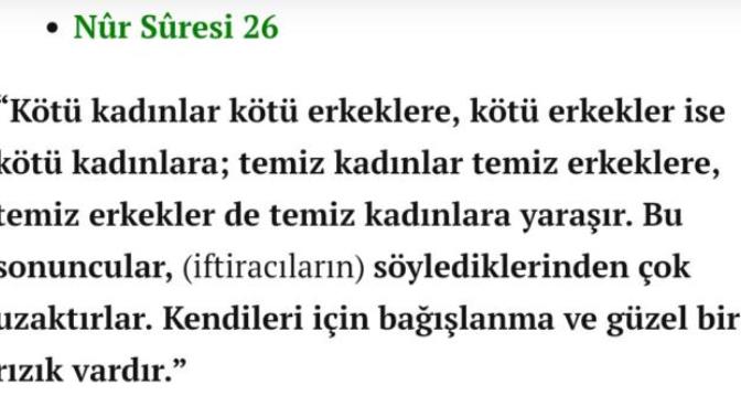 Kendisi her haltı yiyip yine de bakire kız isteyen erkekler burda misiniz?