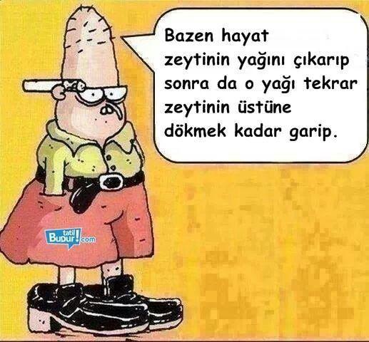 Hayat desem, nasil özetlersiniz?