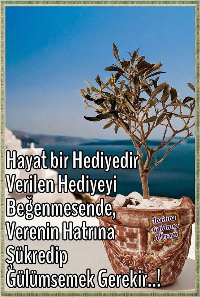 Hayat desem, nasil özetlersiniz?