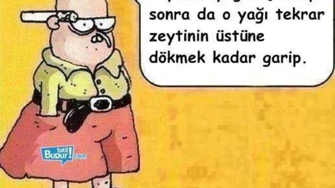 Hayat desem, nasil özetlersiniz?