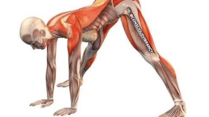 Yin yoga ne demek, yaparken nelere dikkat etmeliyim? 