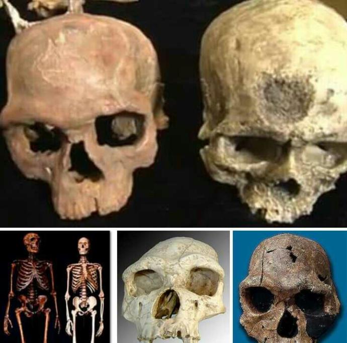 İlk insan Adem ise, bunları kim yarattı sizce arkadaşlar?