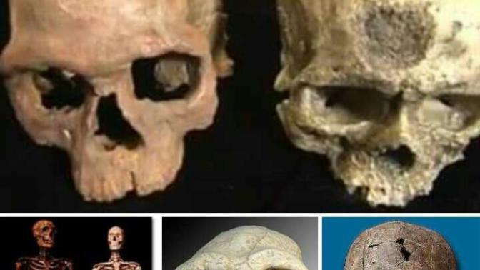 İlk insan Adem ise, bunları kim yarattı sizce arkadaşlar?