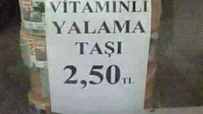 Var mi sizinde nefret ettiginiz yalaka bireyler?