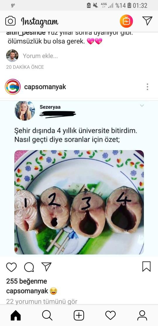 Sizin üniversite yıllarınız nasıl geçti?