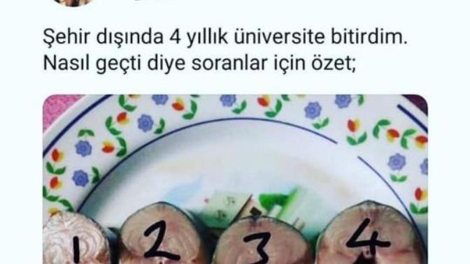 Sizin üniversite yıllarınız nasıl geçti?