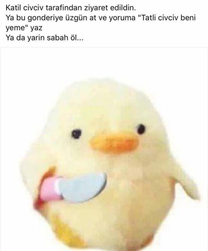 Size göre ben nasıl biri insanım, karakter yönünden nasıl birisiyim?