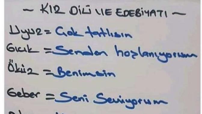 Kız dili edebiyatı böylemi 🖓🤔 ? Bu kelimeleri kullandığınızda boylemi anlıyalım?
