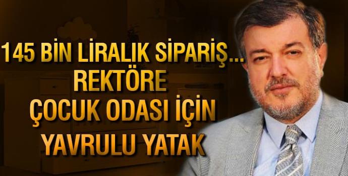 Çankırı Karatekin Üniversitesi Rektörünün, lojmanını 145 bin liraya dekore etmesi hakkında ne düşünüyorsunuz?