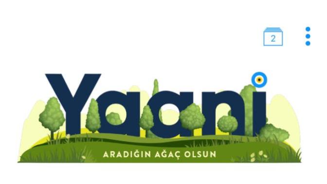 Yaani hakkında ne düşünüyorsunuz?