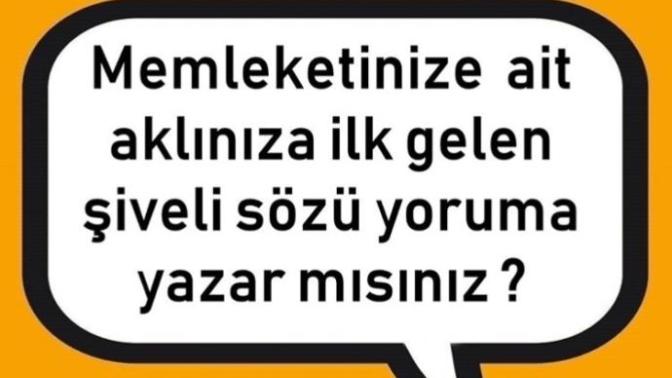 Memleketinize ait şiveli bir söz yazar mısınız?