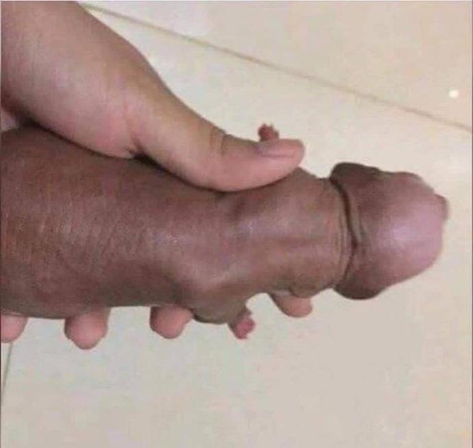 Yavru Köpek Buldum Ne Yapmam Lazım?