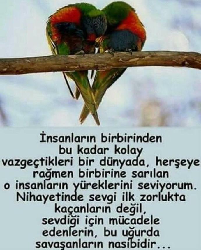 Sevdiğiniz insan için en fazla ne yaparsınız?