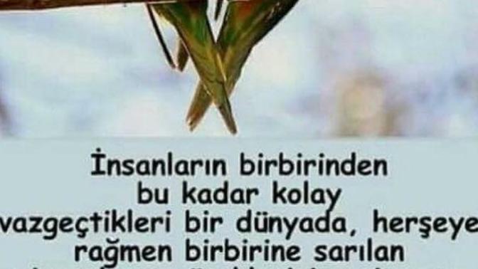 Sevdiğiniz insan için en fazla ne yaparsınız?
