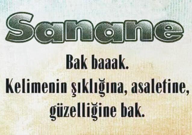 Her işinize burnunu sokan insanlara karşı nasıl tepki veriyorsunuz?