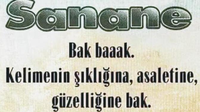 Her işinize burnunu sokan insanlara karşı nasıl tepki veriyorsunuz?
