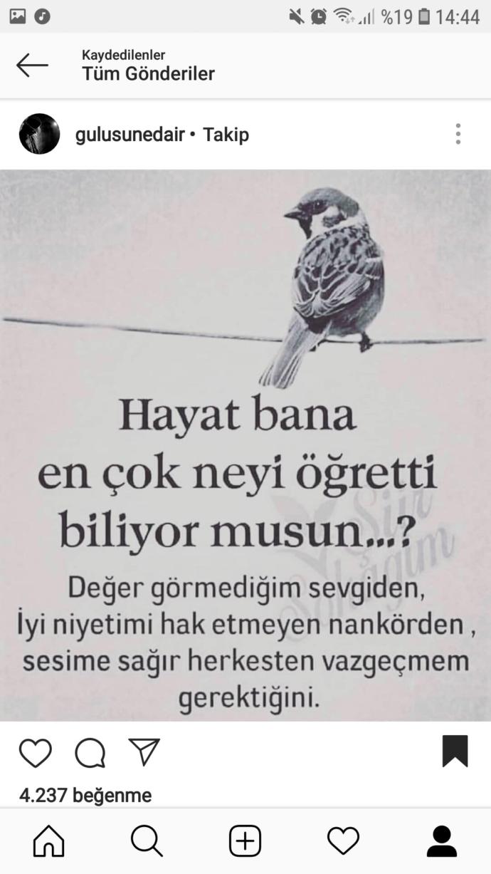 İtinayla hayat dersi vermek istesen bu ne olurdu?