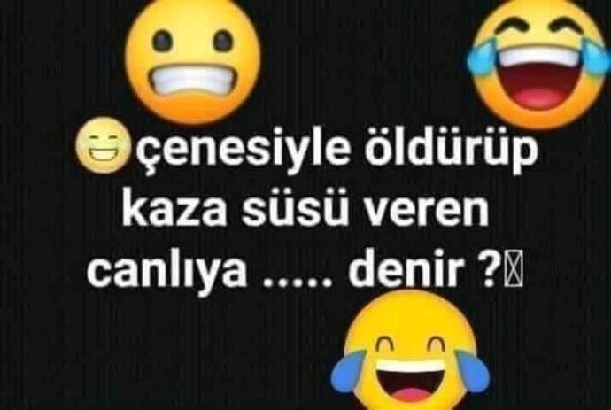 :D çenesiyle öldürüp kaza süsü veren canlıya... denir? ne denir sizce ?