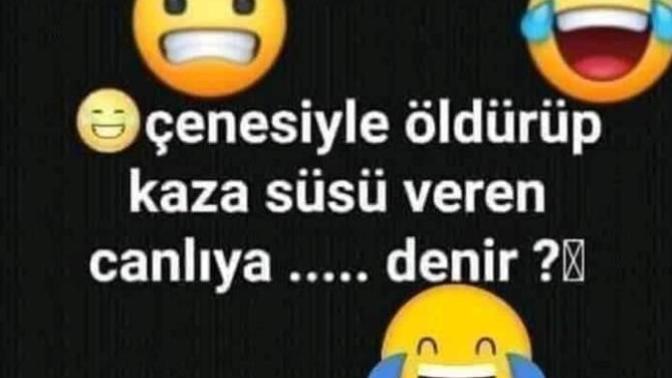 :D çenesiyle öldürüp kaza süsü veren canlıya... denir? ne denir sizce ?