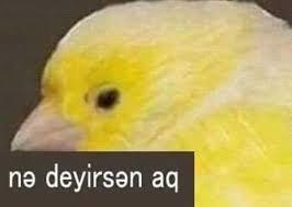 Sevgilimle meşajlarımız?(resimli)?