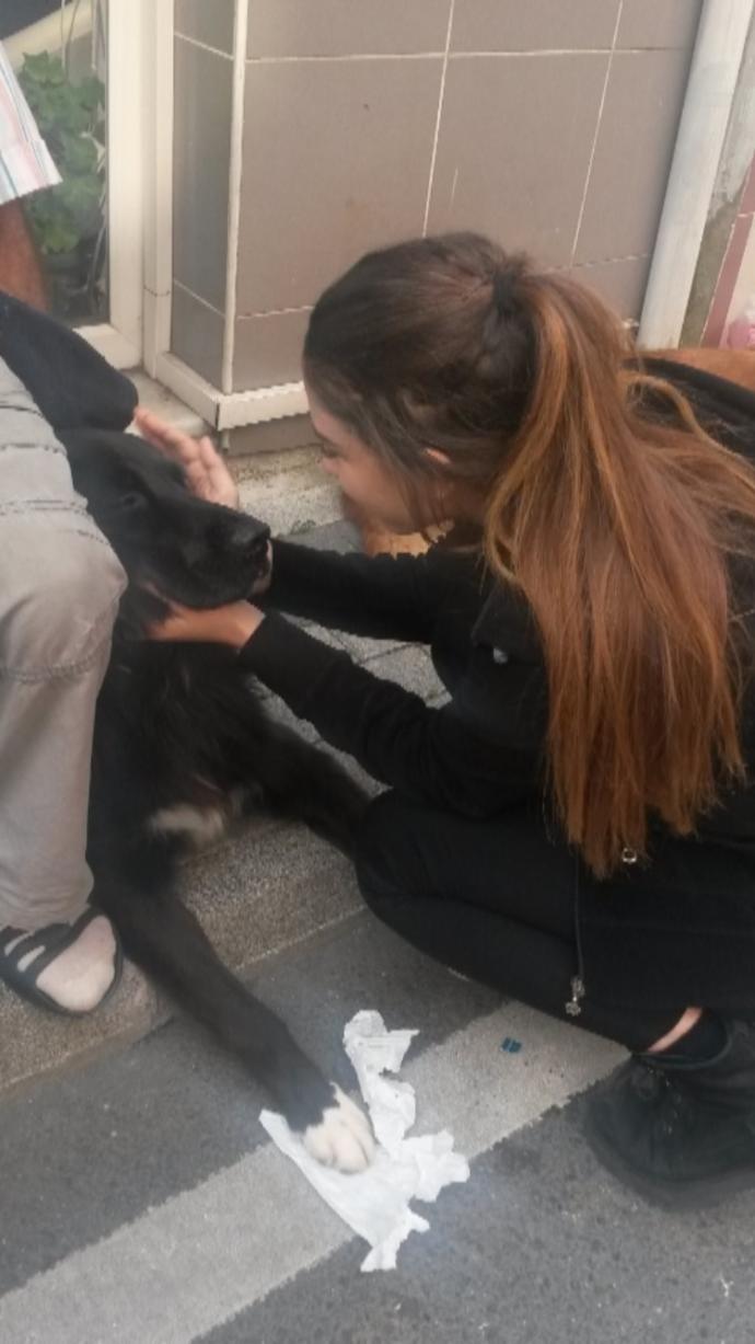 Kızlar saç çıtçıt ı kullanan var mı hiç yarımay çıtçıt veya sizce bunlardan hangileri olur benim saçıma güzel?