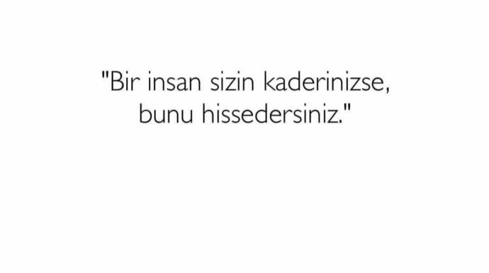 Hisseder misiniz?