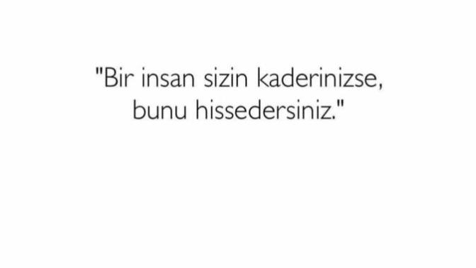 Hisseder misiniz?