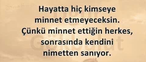 Görseldeki açıklama doğrumudur?