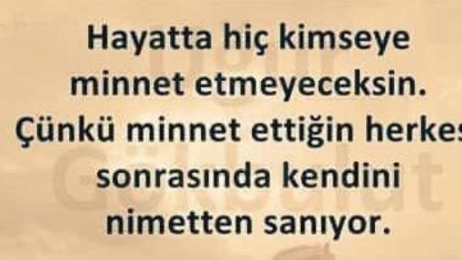 Görseldeki açıklama doğrumudur?