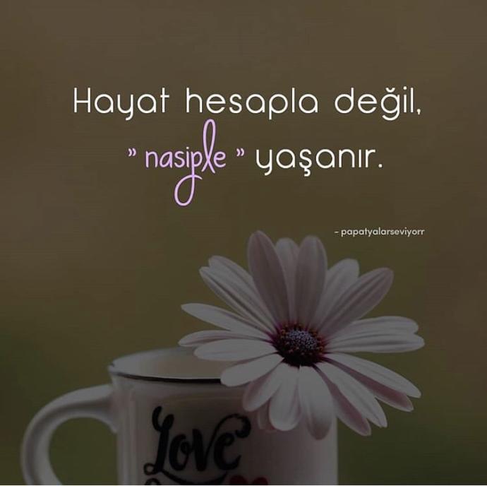 Abiler, sizden habersiz kiz kardeşiniz sözlense ne yapardınız?