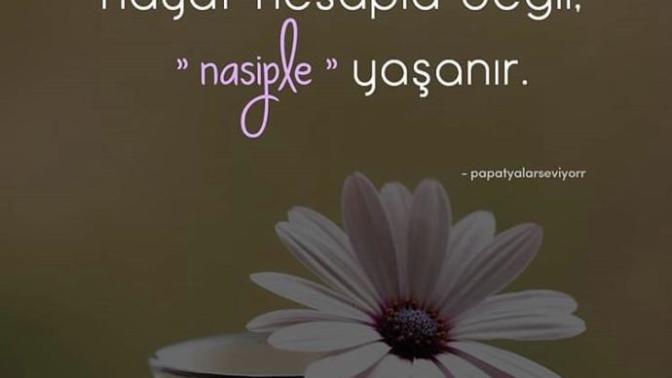 Abiler, sizden habersiz kiz kardeşiniz sözlense ne yapardınız?