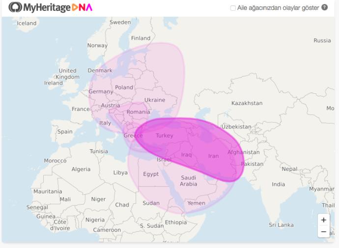 Etnik köken testi yaptirdim, sizce sonuclar dogrumudur?
