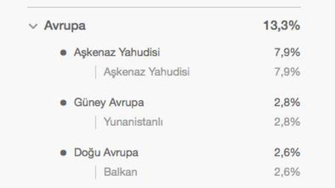 Etnik köken testi yaptirdim, sizce sonuclar dogrumudur?