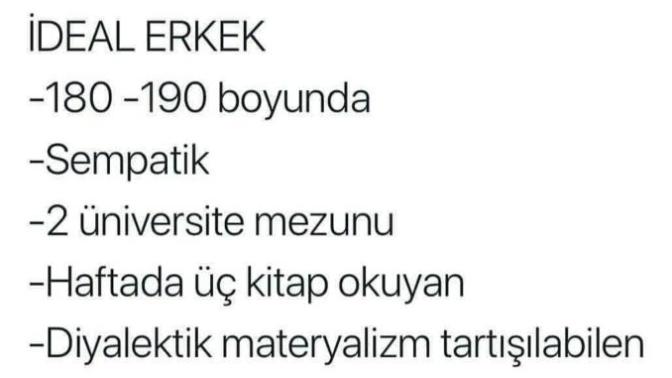 Peki sizin ideal erkek kriteriniz nedir?