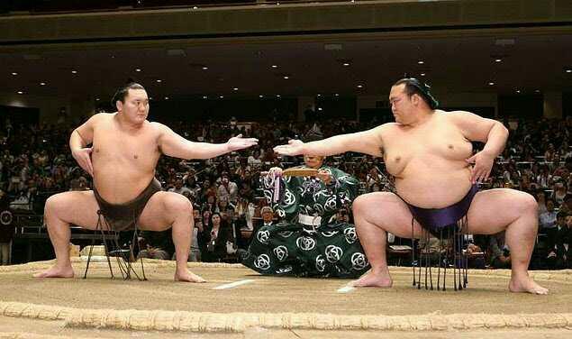 Sumo güreşcileri neden şişmandır?