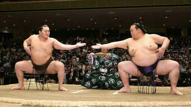 Sumo güreşcileri neden şişmandır?
