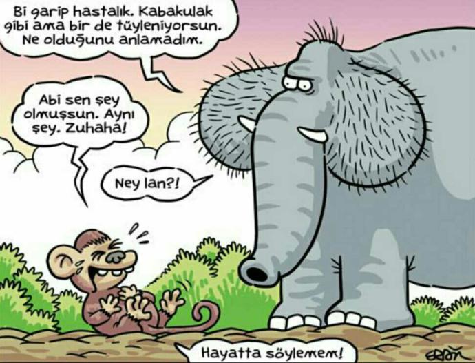 Tesadüflere ve mucizelere inanır mısın?