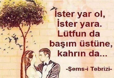 Hayatında en fazla duymayı istediğin sözcük nedir?