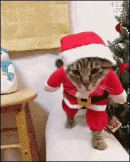 Yeni yıla nasıl gireceksiniz?