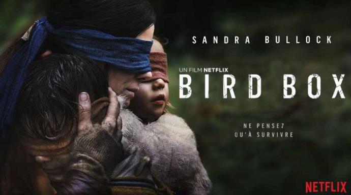 Netflix'deki 'Bird Box' filmini izlediniz mi? Nasıl buldunuz?