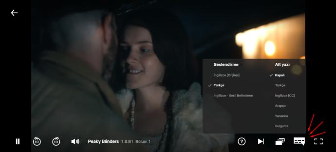 Netflix Dizilerde Türkçe Altyazı seçeneği yok?